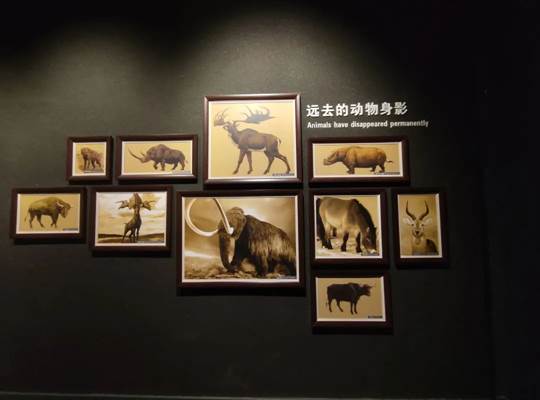 说明: IMG_260